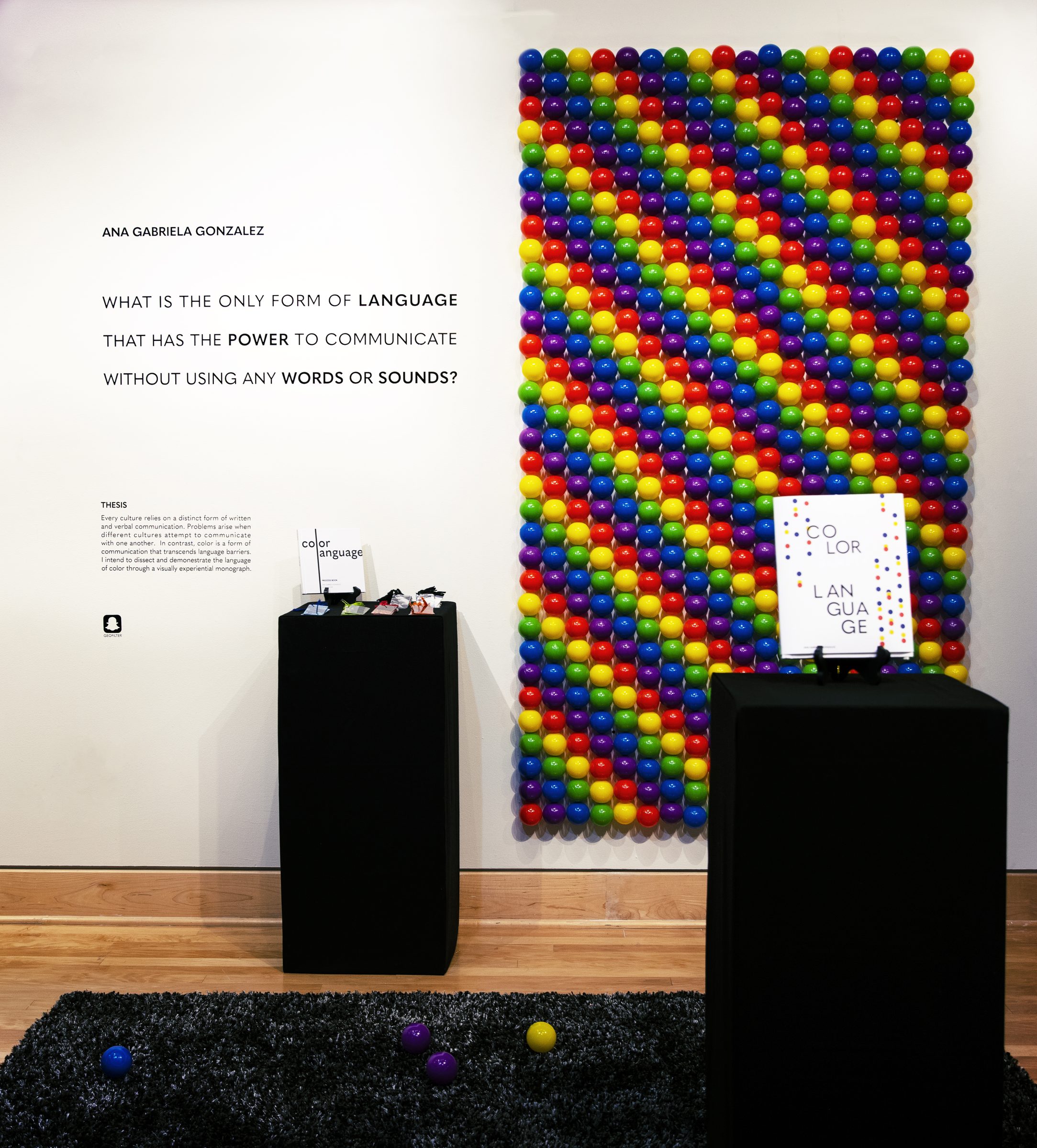 Full exhibition setup